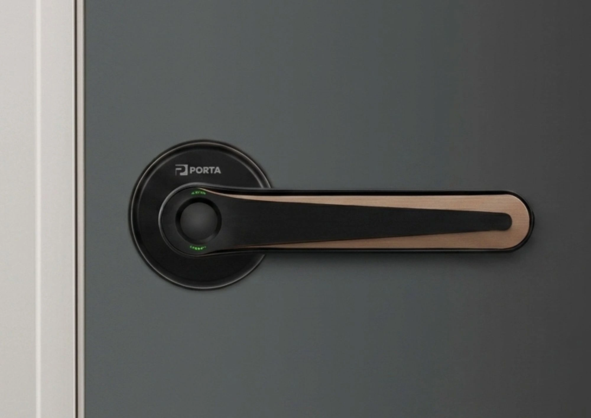 spesifikasi porta smart lock ps0700